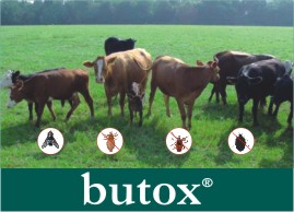 Click on image to visit Butox product information page