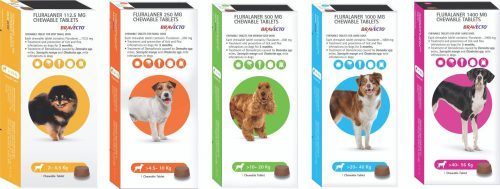 Bravecto ® Chewable Tablets for Dogs - MSD Animal Health India