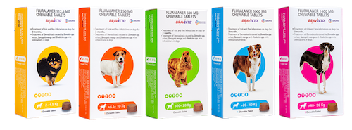 Bravecto ® Chewable Tablets for Dogs - MSD Animal Health India