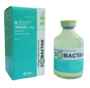 Cobactan® % - MSD Animal Health India