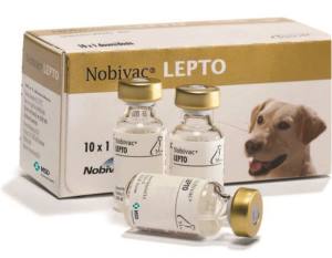 Nobivac® Lepto - MSD Animal Health India