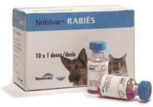 anti rabies vaccine cat bite