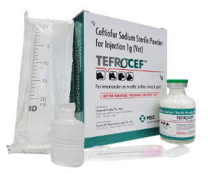 Tefrocef ™ - MSD Animal Health India